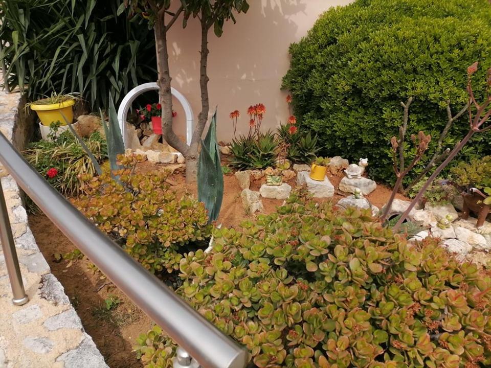 Kydoni Apartments And Studios Agia Marina  Exterior photo